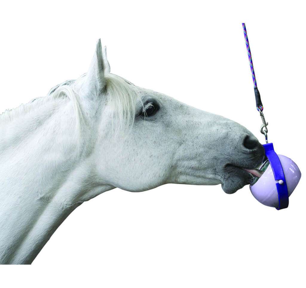 Likit Boredom Buster | FUNDIS Equestrian