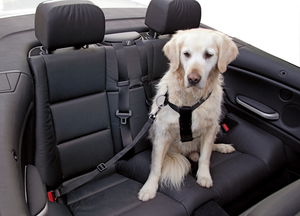 Kerbl Hundegeschirr Kerbl Hundegeschirr