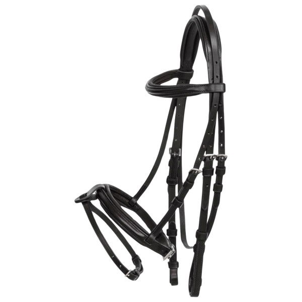 Equiline Bridle, English combined