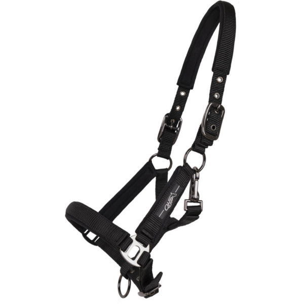 QHP Foal Halter Deluxe, Nylon Halter, Padded