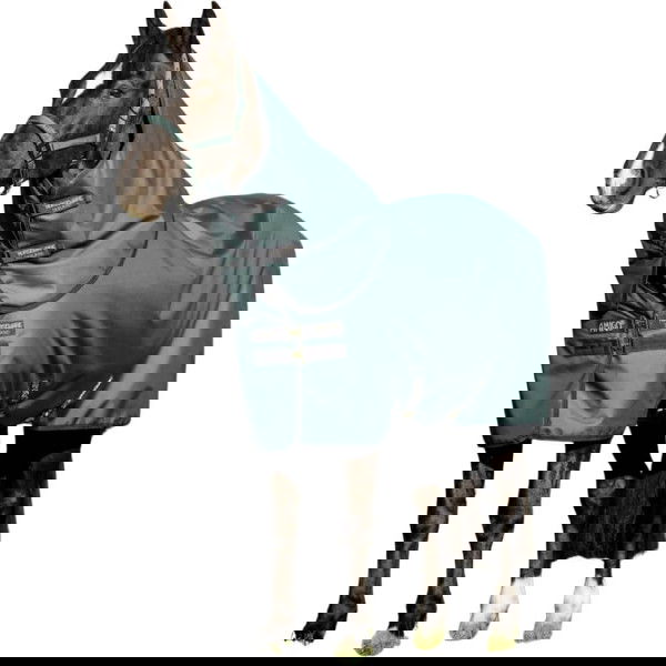 Horseware Outdoordecke Amigo Ripstop 900D Plus Pony Turnout HW25, 100 g, mit abnehmb. Halstei