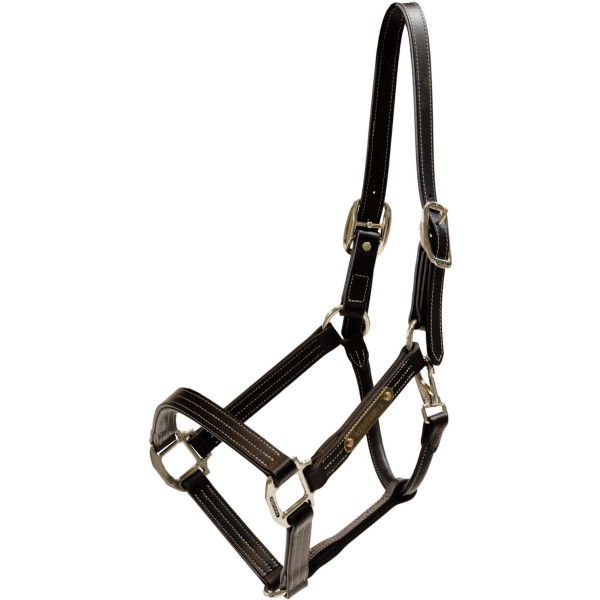 Kentucky Horsewear Halter Wellington, Synthetic Leather Halter, with Engraving Plate