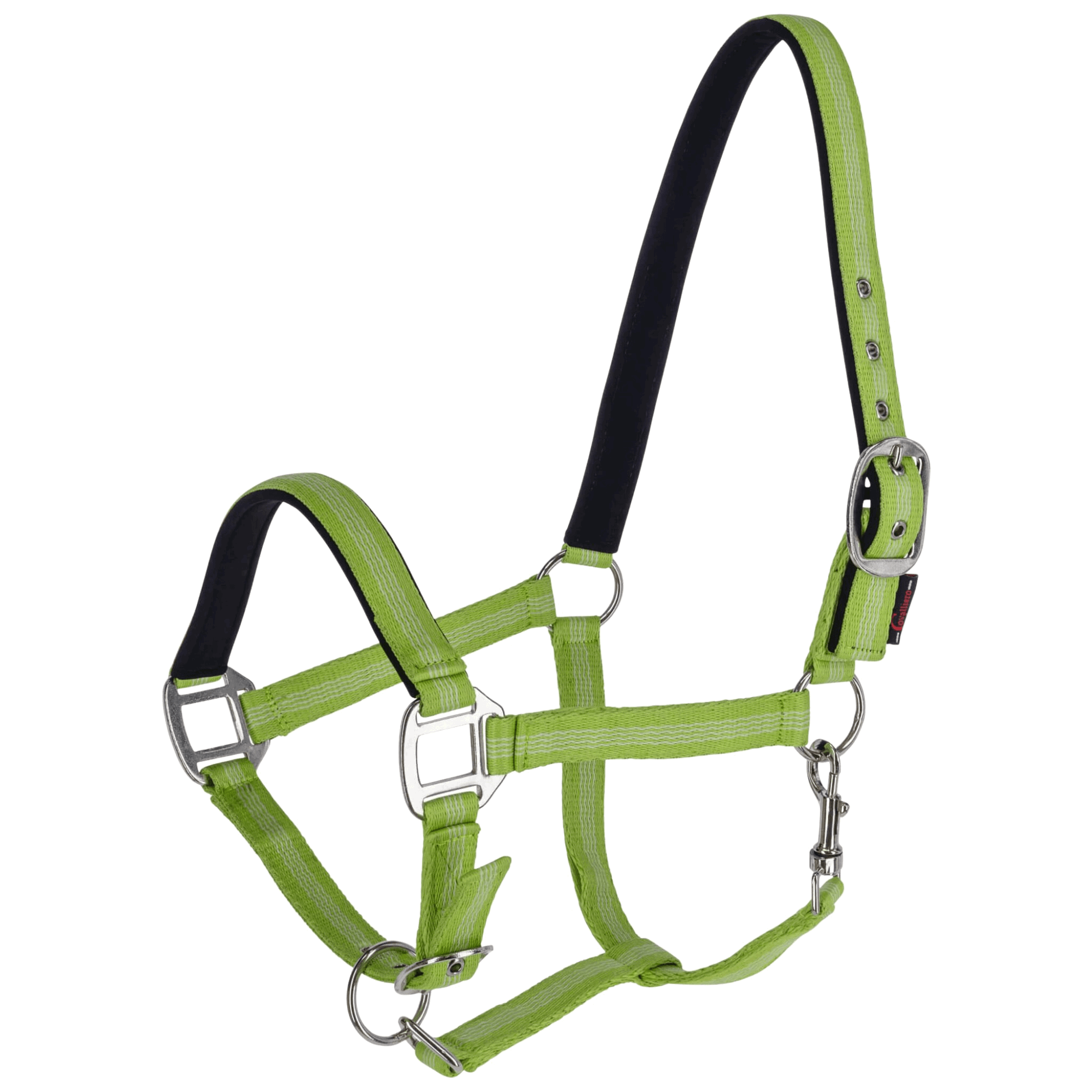 Covalliero Halfter Mustang, Nylonhalfter