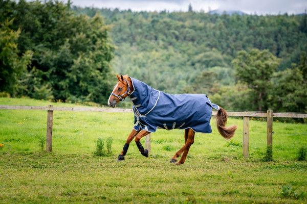 Horseware Outdoor Rug Amigo Bravo 12 Plus Turnout Bundle, 50+100+200 g, incl. Removable Neck Cover