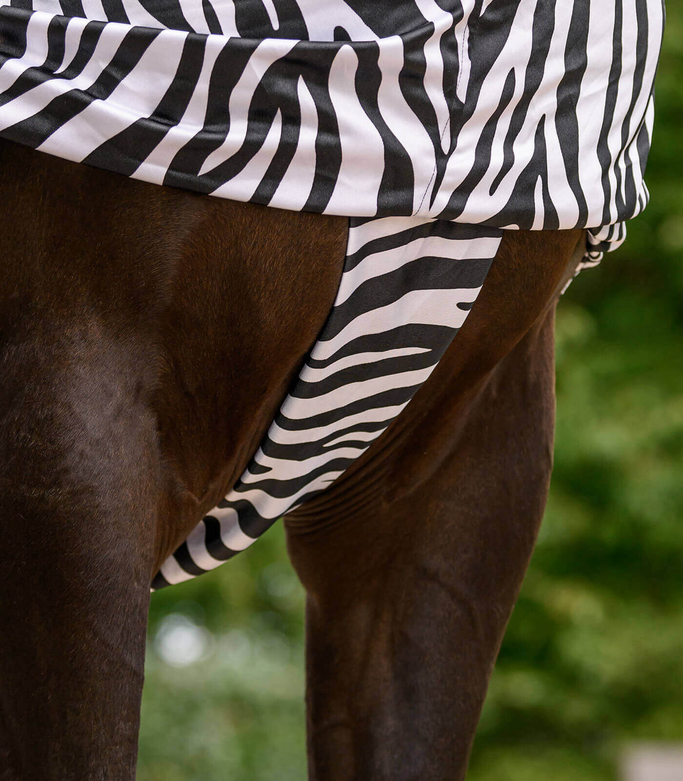 Zebra Basic Waldhausen Ekzemerdecke Zebra Basic | FUNDIS Reitsport