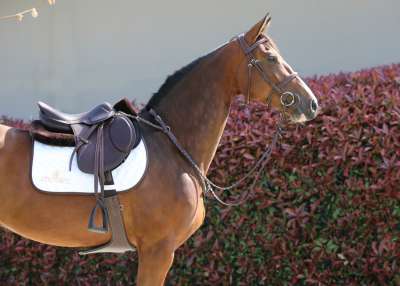 Protecteur anti-escarres coude ou talon | Peau de mouton | Taille