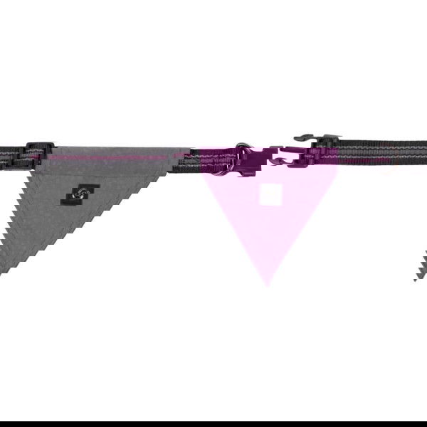 QHP Hundehalsband mit Bandana Collection