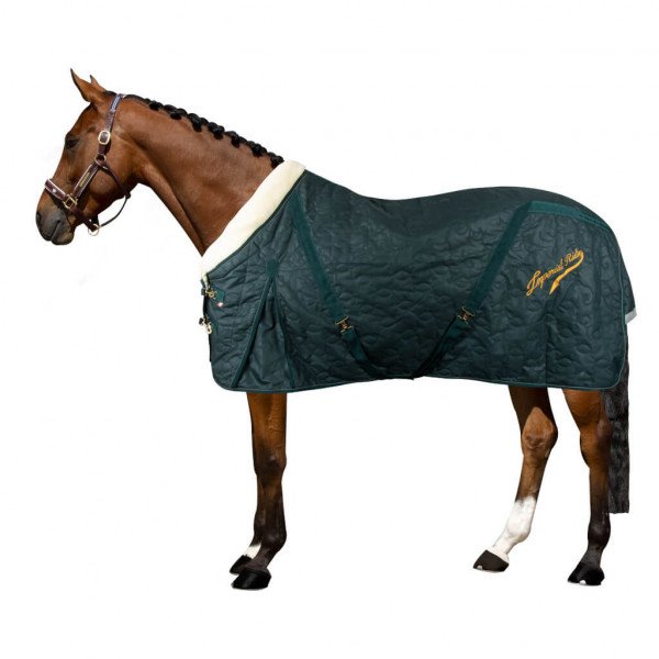 Imperial Riding Stable Rug IRHSuper-dry FW23, 100 g