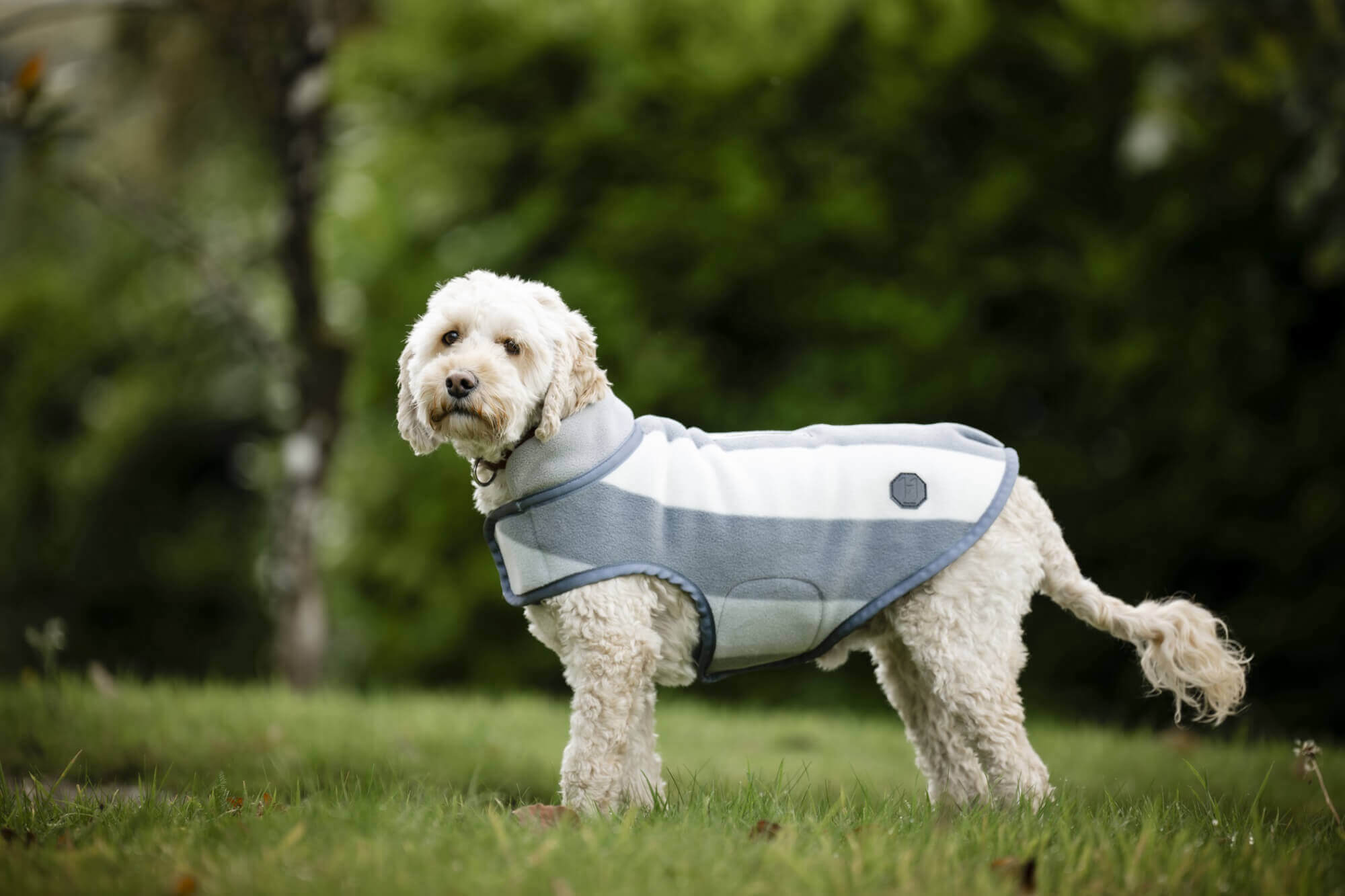 Horseware Hundemantel Newmarket Dog Fleece FS26, Hundedecke, Fleecedecke