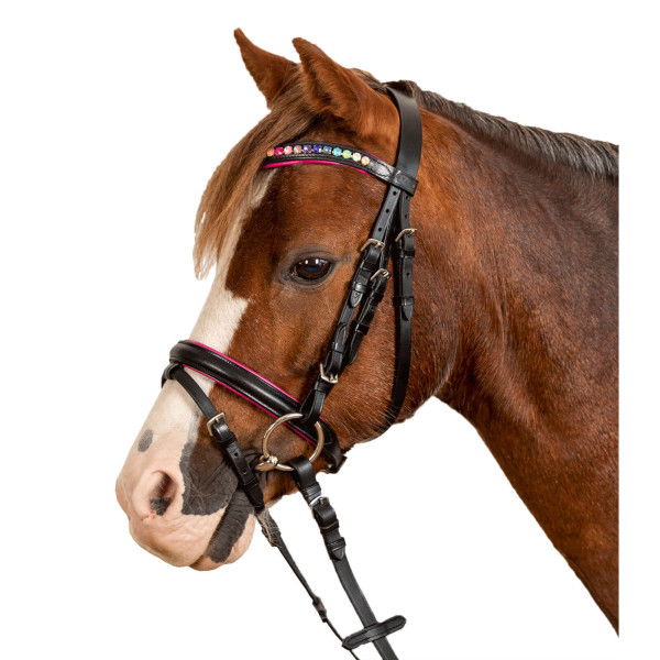 Star Bridle Pinky, English Combined, with Reins