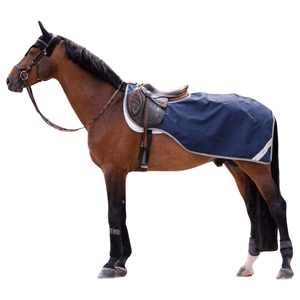 Horseware Ausreitdecke Amigo Ripstop Excercise Sheet HW25, wasserdicht Horseware Ausreitdecke Amigo Ripstop Excercise Sheet HW25, wasserdicht