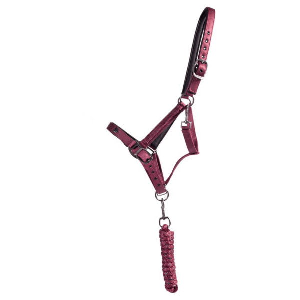 QHP Headcollar Set Lily, with Rope