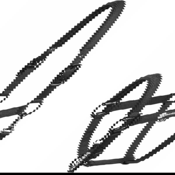 Eskadron Halfter Sparkle Double Pin Dynamic HW25