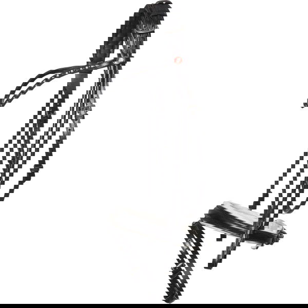 Kieffer Trense Sylvie II, englisch kombiniert, mit Zügeln