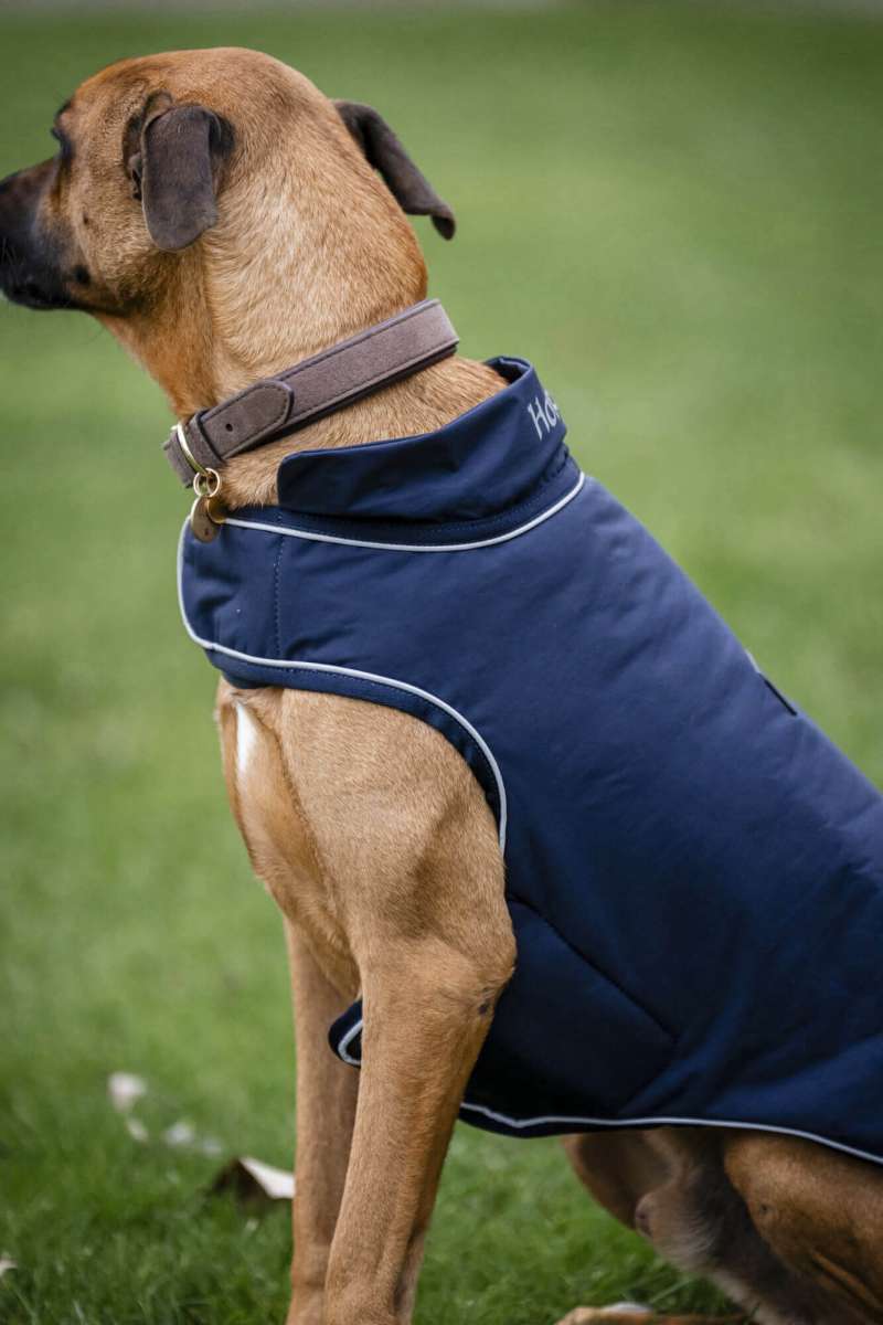 Horseware Dog Rug Signature SS26 100 g | FUNDIS Equestrian