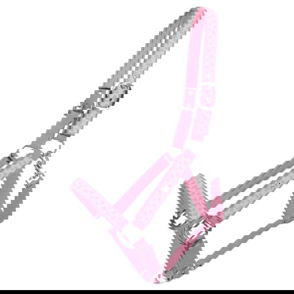 QHP Halfter Lyvia, Nylonhalfter