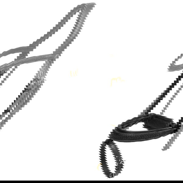 Dyon Noseband Plaited Flash DC, Caveson Special