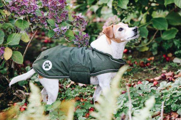 Kentucky Dogwear Hundemantel Waterproof, 300g | FUNDIS Reitsport