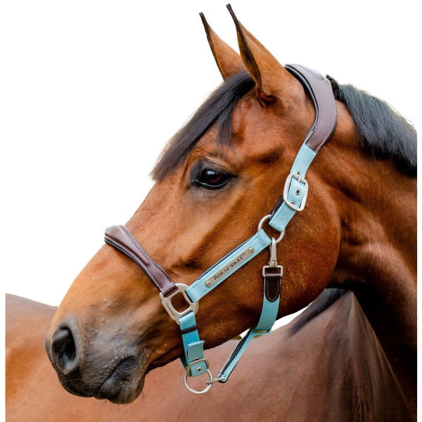 Horseware Halter Signature Competition, Nylon Halter, Leather Halter