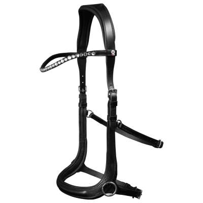 人気商品ランキング waldhausen_trense_x- ギター