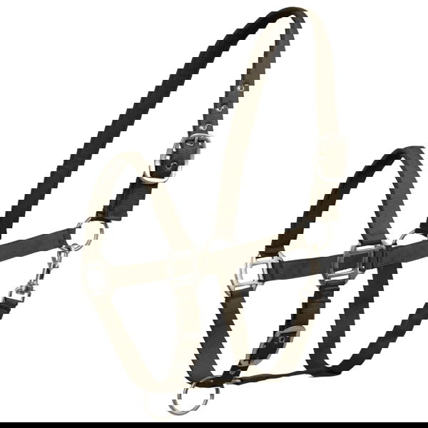 Waldhausen Halter Satin FW25, Perlon Halter