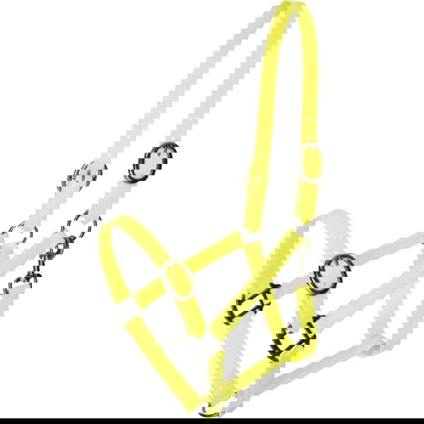 Imperial Riding Halter IRHSuper-proof Glossy FW25, Coated Nylon Halter