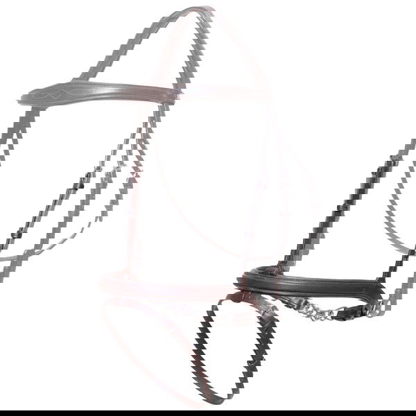 Dyon Interchangeable Noseband NEC, English Combined, with Chin Chain