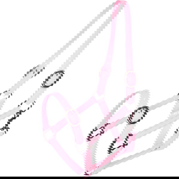 Imperial Riding Halfter Halfter IRHSuper-proof Glossy HW25, Beschichtetes Nylonhalfter