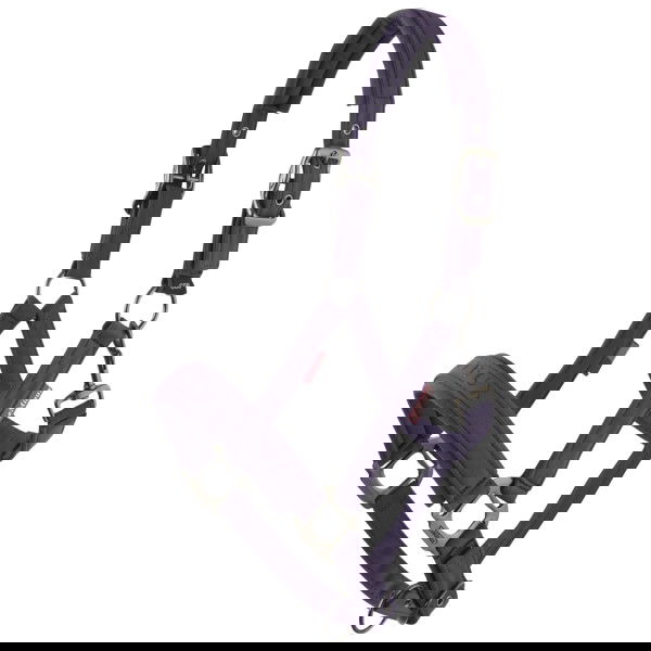 LeMieux Halfter Essence HW25, Nylonhalfter, Softshellhalfter