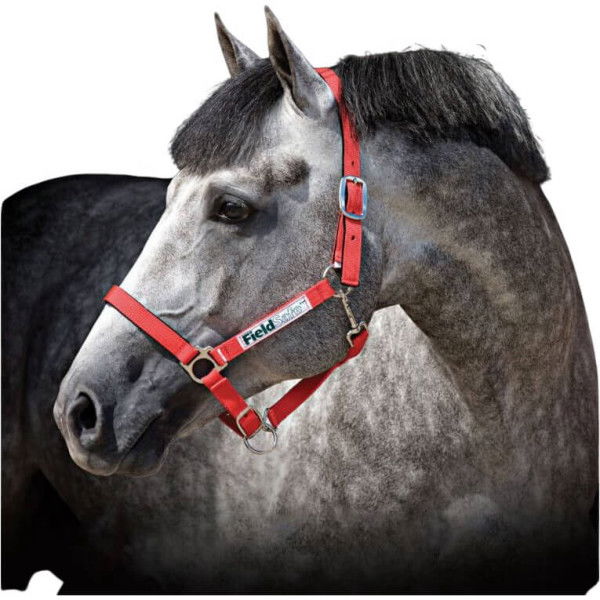 Horseware Halter Field Safe, Grazing Halter, Nylon Halter