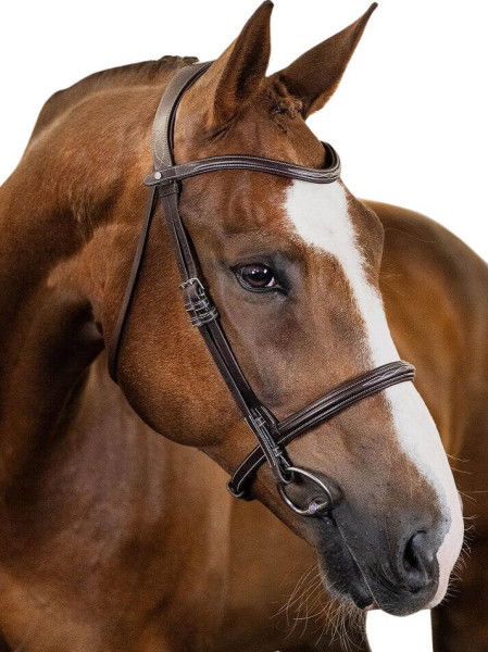 PS of Sweden Bridle Ocala, English, without Reins