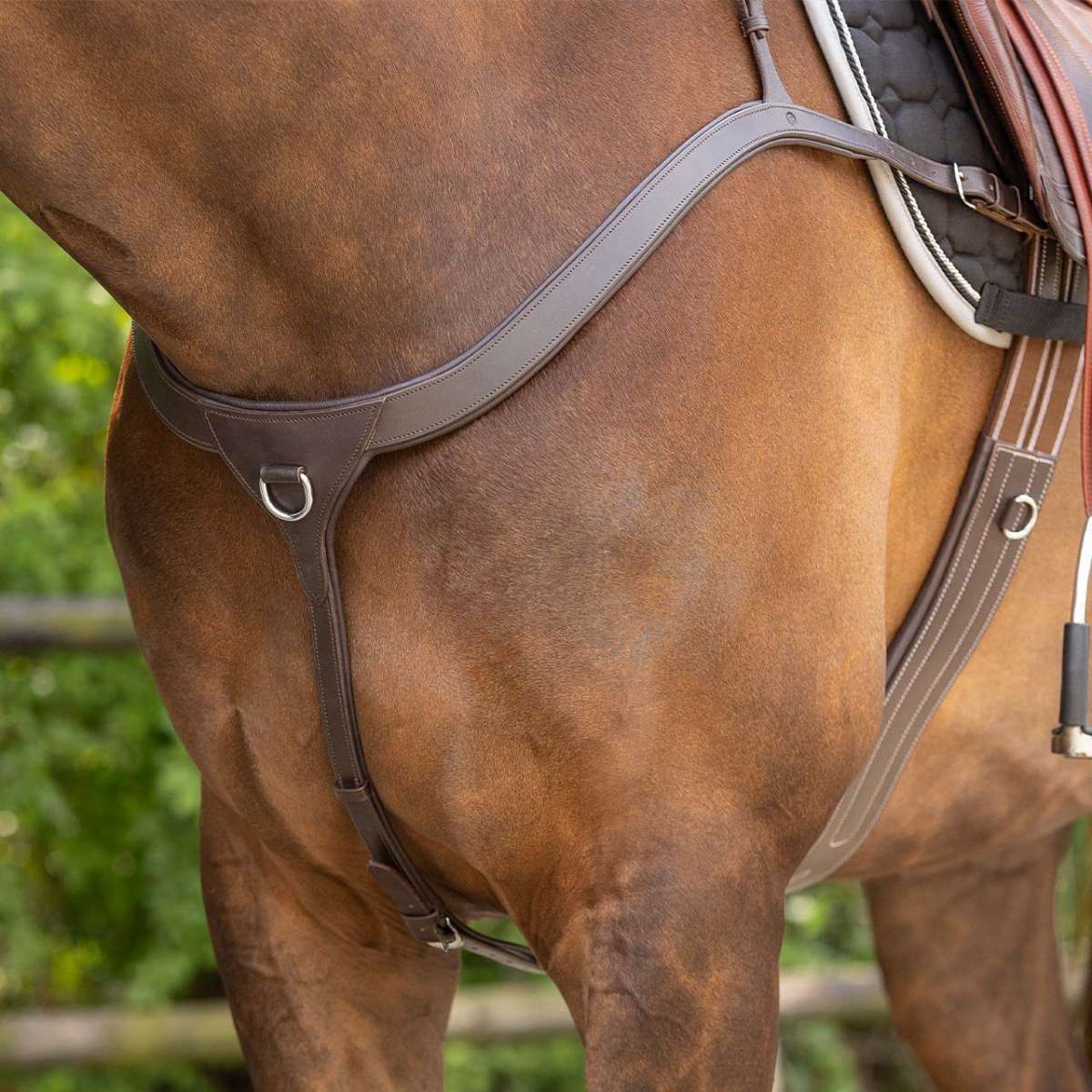 QHP BREASTPLATE BASIC PRO Black | De Kroo Equestrian