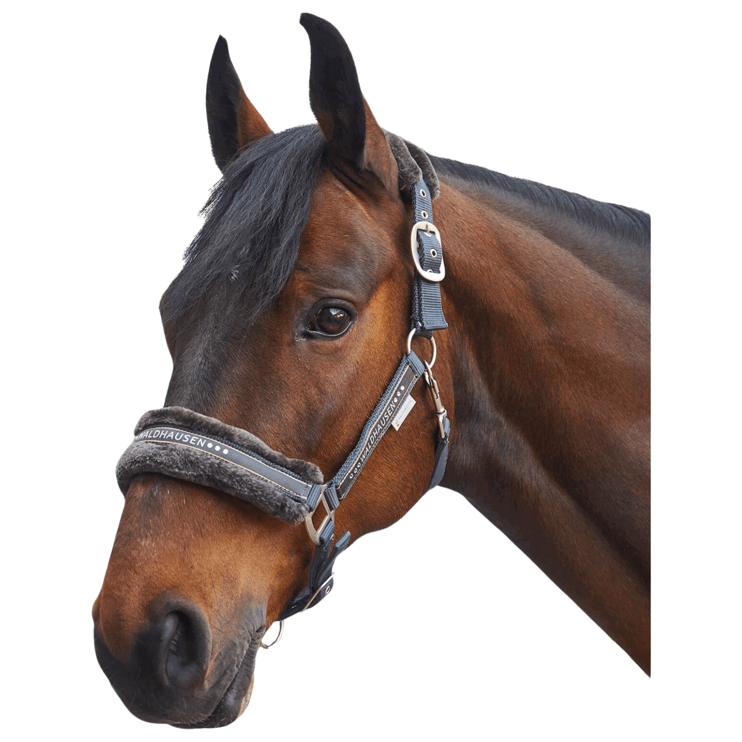 Waldhausen Halfter Elegant, Kunstfellhalfter
