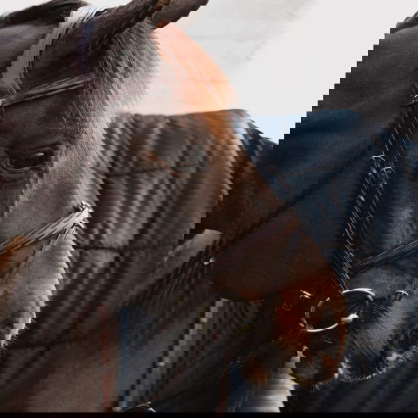 Dyon Sperrriemen 5/8 NEC, mit Kette