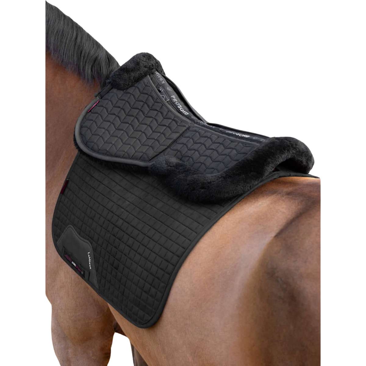 Lemieux half pads discount