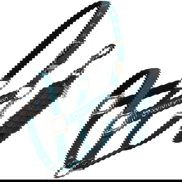 Equestro Halfter Set, Nylonhalfter, mit Führstrick