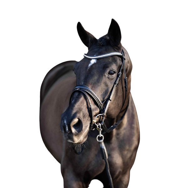 HV Polo Bridle HVPLegacy de Luxe, Swedish combined, with Reins