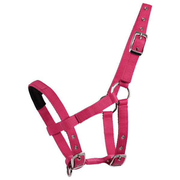 Waldhausen Mini-Shetty Halter, Nylon Halter