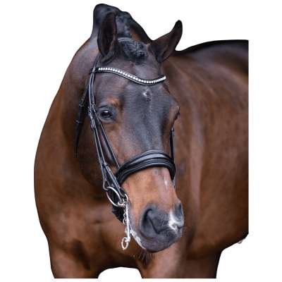 Imperial Riding Double Bridle IRHAthena, Swedish Combined, without Reins