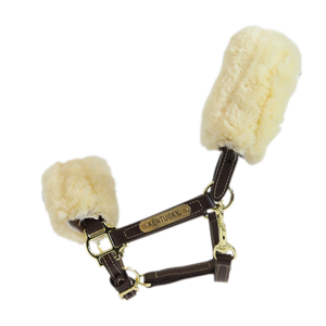Kentucky Horsewear Halfter Sheepskin, Lederhalfter, Pony/Shetty, Lammfell Kentucky Horsewear Halfter Sheepskin, Lederhalfter, Pony/Shetty, Lammfell