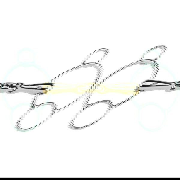 Sprenger KK Ultra Universal Aurigan, doppelt gebrochen, Gebiss