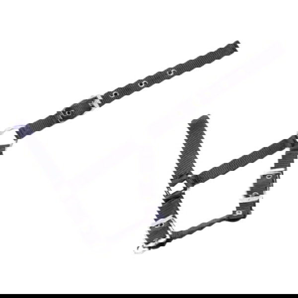 USG Halter, Foal Halter