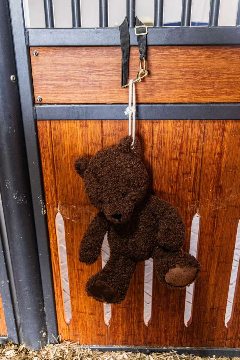 Kentucky Horsewear Relax Horse Toy Bear | FUNDIS Equestrian