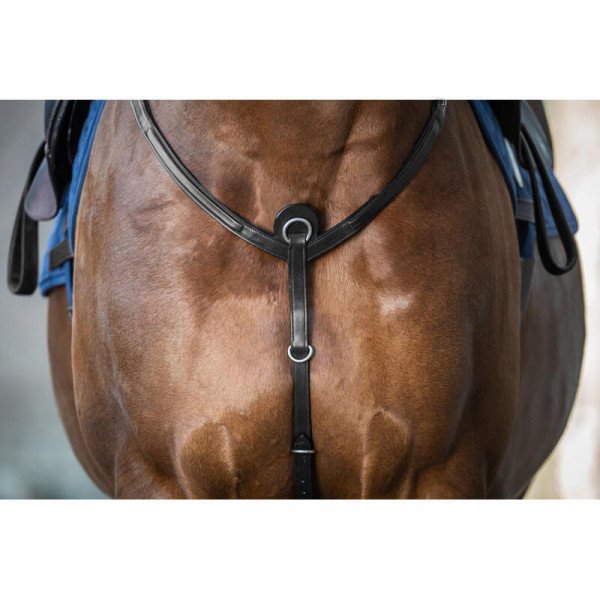 Dyon 3-Point Breastplate with Bridge NEC