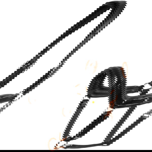 Equestro Halfter Polished, Lederhalfter