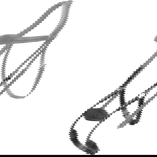 Dyon Noseband Elastic Hybrid, New English-Collection