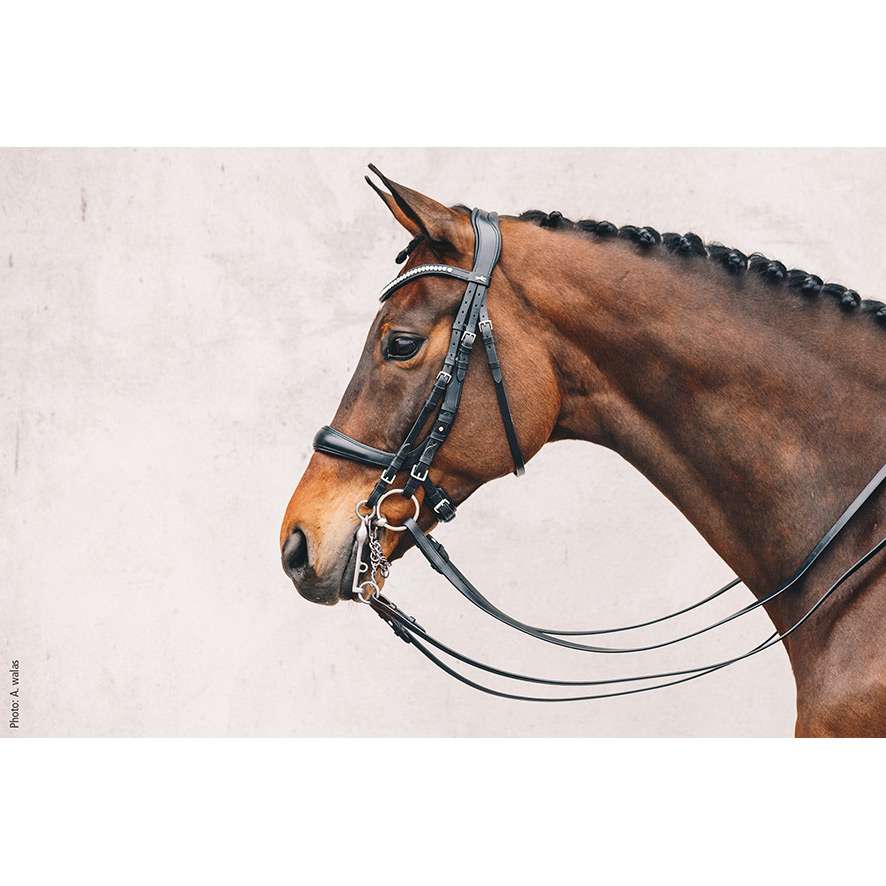 Schockemöhle Sports Double Bridle Equitus Gamma | FUNDIS Equestrian