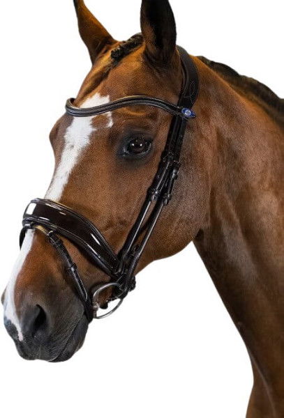 PS of Sweden Bridle Flying Change Deluxe, Swedish Noseband, without Reins