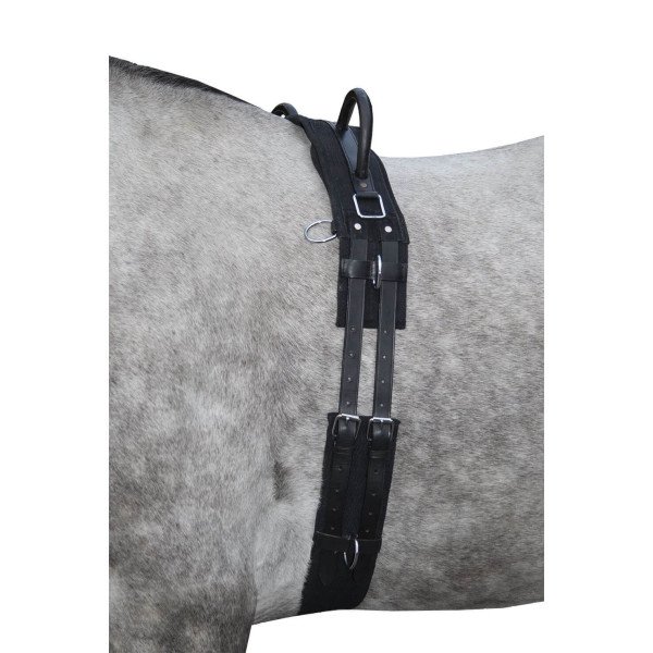 HKM Lunging Girth Canvas with Double Handle