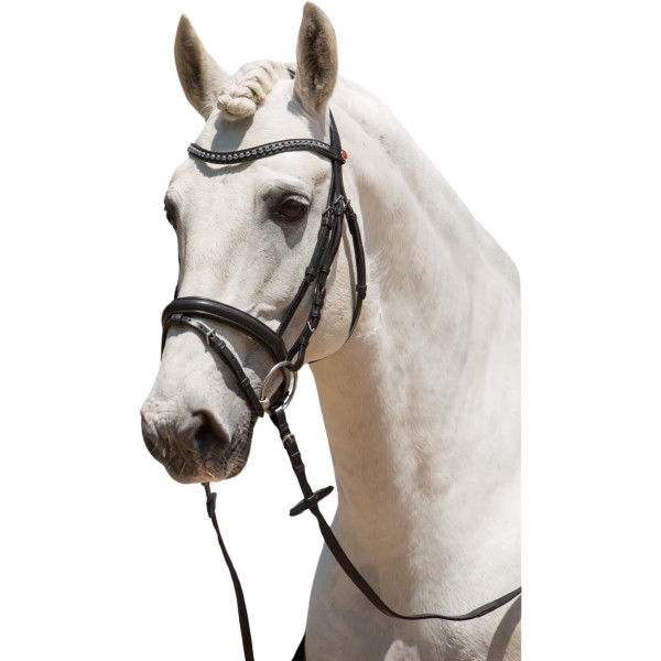 Kieffer Bridle Ultrasoft Fashion, English Combined, with Reins